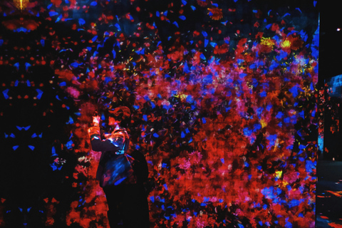 Tokyo: TeamLab Borderless & Imperial Palace History Tour