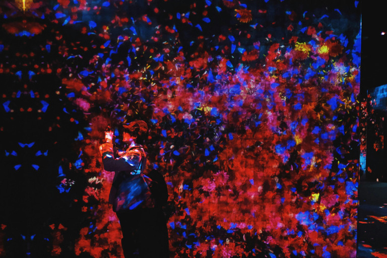 Tokyo: TeamLab Borderless & Imperial Palace History Tour