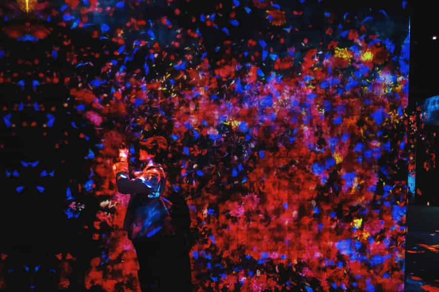 Tokio: TeamLab Borderless & Geschichtstour durch den Kaiserpalast. Foto: GetYourGuide Tokio: TeamLab Borderless & Geschichtstour durch den Kaiserpalast. Foto: GetYourGuide