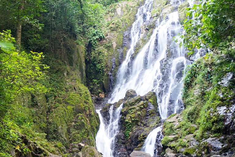 From Panama City: ATV Jungle & Waterfall Off-Road Adventure Tour Only (No Pickup)