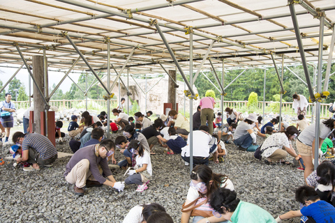 World-Class Dinosaur Museum Tour from Kanazawa