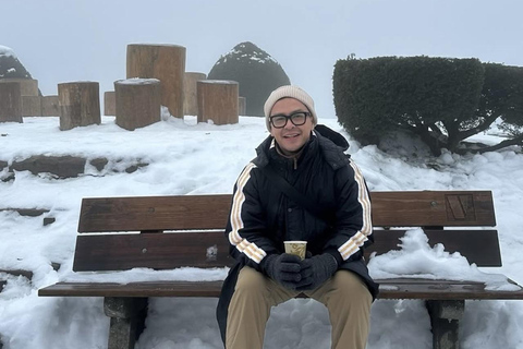 Zurich: Raclette Experience at Uetliberg, Zurich's Viewpoint