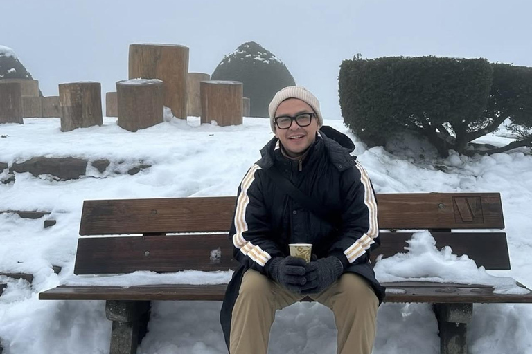 Zurich: Raclette Experience at Uetliberg, Zurich's Viewpoint