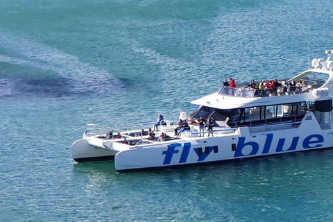 Málaga: 1.5 Hour Daytime Cruise with Swimming Stop 1.5 Hour Daytime Cruise with Swimming Stop