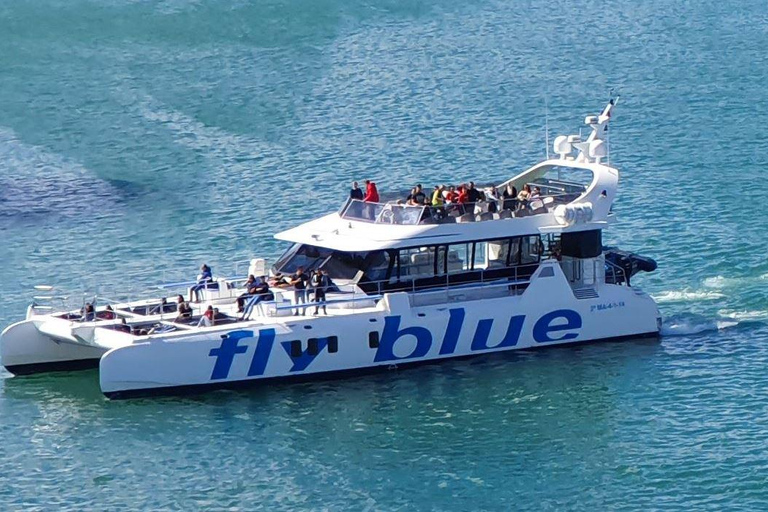 Málaga: 1.5 Hour Daytime Cruise with Swimming Stop 1.5 Hour Daytime Cruise with Swimming Stop