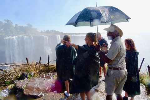 Visita guiada transfronteriza a las cataratas Victoria