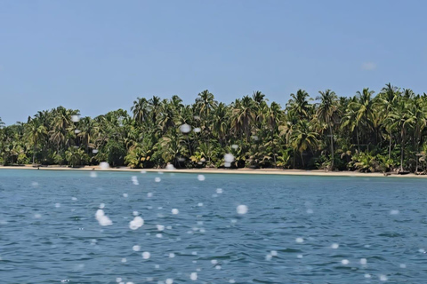Bocas del Toro: Snorkel in Crystal-Clear Waters and Playa Estrella by Boat Bocas del Toro: Snorkel in Crystal Clear Waters and Playa Estrella by Boat