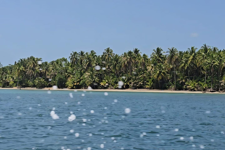 Bocas del Toro: Snorkel in Crystal-Clear Waters and Playa Estrella by Boat Bocas del Toro: Snorkel in Crystal Clear Waters and Playa Estrella by Boat