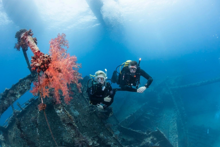 De Sharm ou Dahab: Blue Hole & Canyon Sea Dive ExperiencePrise en charge à Dahab