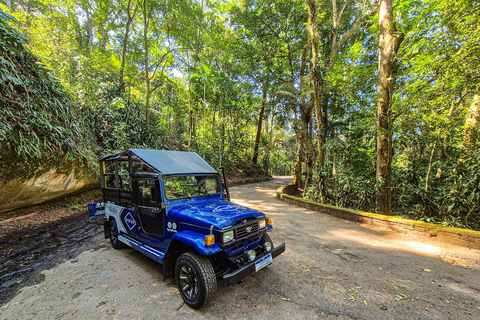 Rio de Janeiro : Jardin botanique et visite de la forêt de Tijuca en jeepDepuis les hôtels de la zone sud : francophones