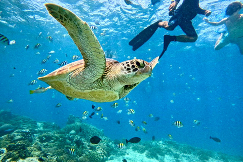 Lombok: Private Snorkeling,Gili Trawangan,Gili Meno,Gili Air Start From: Tetebatu/Lembar Port/Gili Mas Port