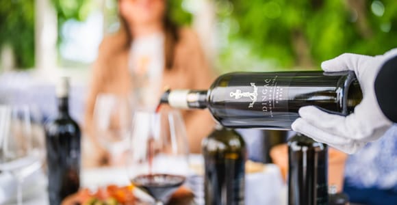 Pelješac: Saints Hills Winery Tour and Red Wines Tasting