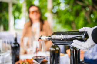 Pelješac: Saints Hills Winery Tour and Red Wines Tasting