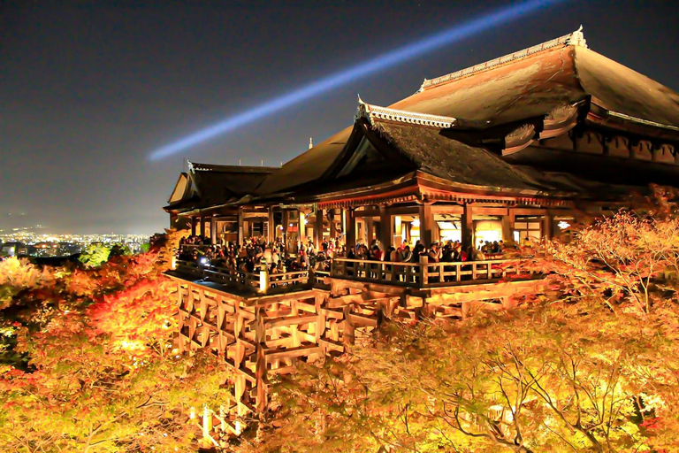 Kyoto: Autumn Leaves Tour with Temples and Gardens