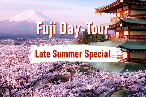 Da Tokyo: tour privato personalizzabile del Monte Fuji di 10 ore