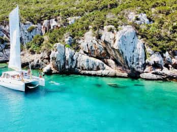 Alghero: Full day on a catamaran in Porto Conte Natural Park
