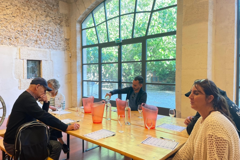Montpellier:Entdecke die Stadt Sète, Austern und Weinberge