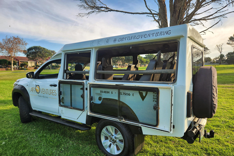 Addo Elephant National Park All Inclusive heldagssafariStandardtur