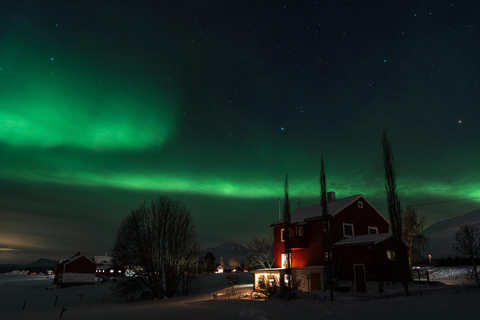 Tromsö: Norrskenstur med foton och hotelltransfer