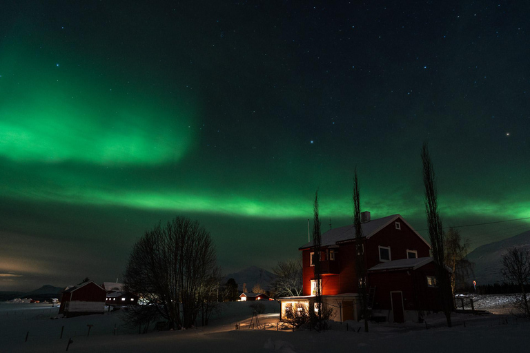 Tromsø: Northern Lights Tour with Photos and Hotel Transfer