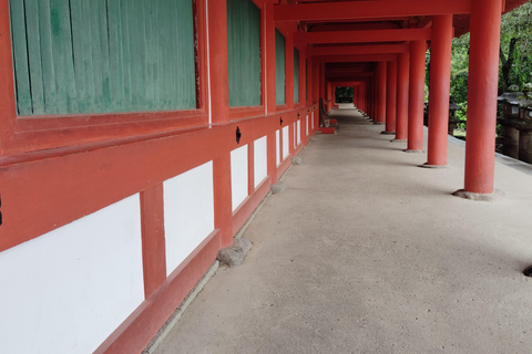 奈良：雾霭中与鹿共行的神圣晨间漫步奈良：雾中与鹿共行的神圣晨间漫步