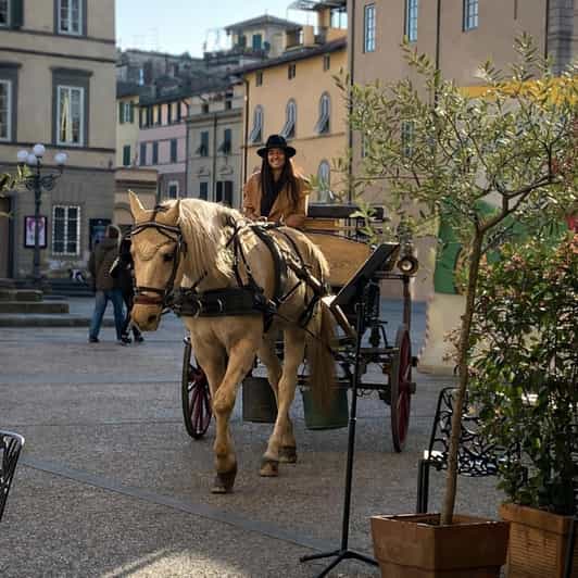 Lucca: Horse Drawn-Carriage Tour