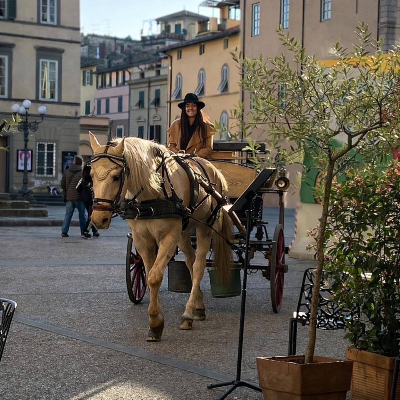 Lucca: Kutschentour mit Pferden