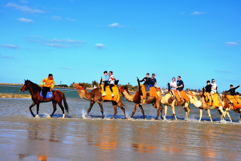 Djerba: Camel Ride to the Blue Lagoon at Sunset