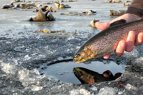 Anchorage: Ice Fishing Trip With Transportation