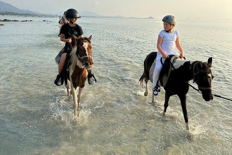 Excursion à cheval sur la plage du coucher du soleil de Phuket