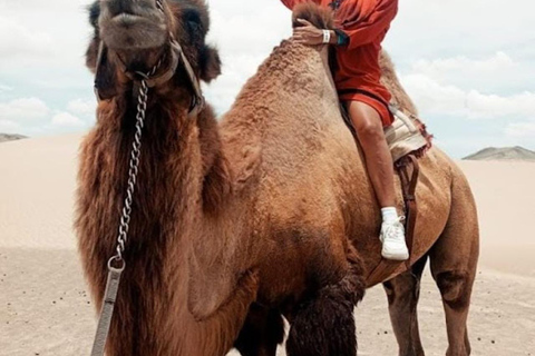 Lima: Ica Camel ride + Huacachina + "Adventure in the Desert" pool Lima: Ica Camel Ride + Huacachina + Swimming Pool "Adventure in the Desert"