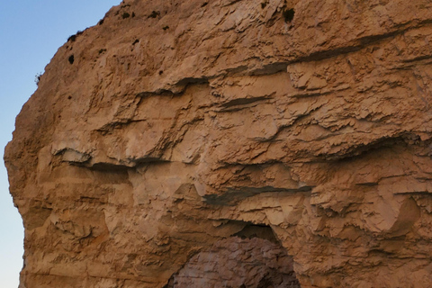 赞特私人游轮海龟岛、凯里洞穴和米兹特雷斯