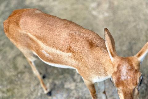 Agra To Bharatpur Same Day Tour with Fatehpur Sikri