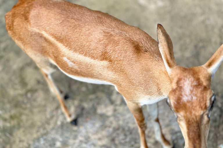 Agra To Bharatpur Same Day Tour with Fatehpur Sikri