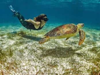 Mahahual: aventura de mergulho com snorkel na Costa Maya de barco