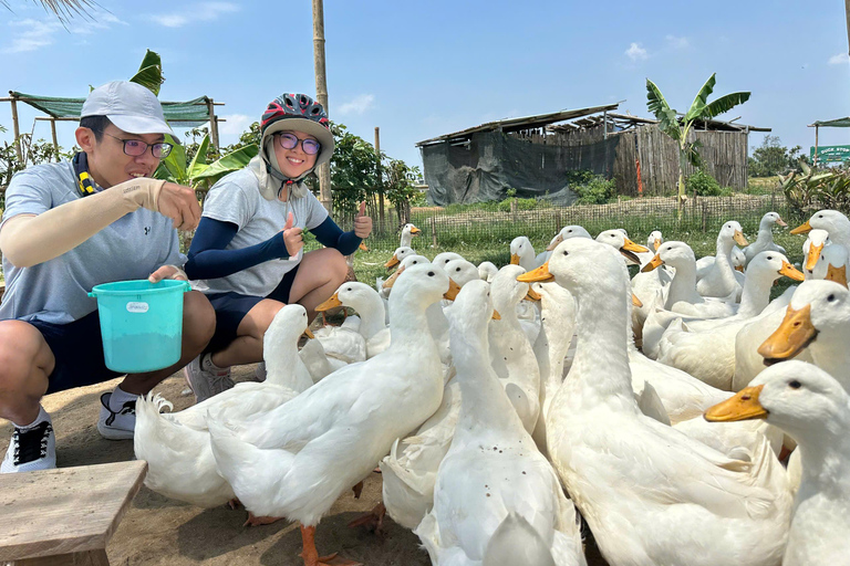 Hoi An Bike Tour: Ride a Buffalo & Duck Farming Experience Hoi An Bike-Organic Farm-Duck game-ride Buffalo-Basket boat