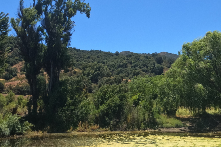 Curacaví Valley: Private Wine Tour of Viña Lopez Pangue and El Cuadro Curacaví Valley: Private Wine Route Tour - Viña Lopez Pangue and El Cuadro