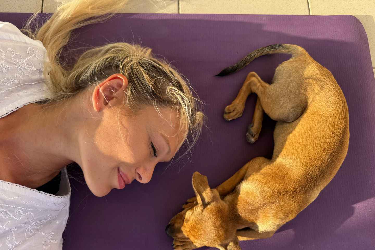 Paphos (Peyia): Mindful Yoga with Rescue Puppies