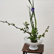Busan: Hands-on Korean Flower Arrangement Experience & Tea Busan: Hands-on Korean Flower Arrangement Experience & Tea