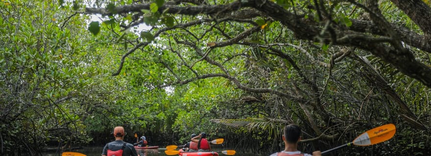Depuis la ville de Tagbilaran/l'île de Panglao : Kayak dans les mangroves de Bohol