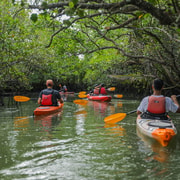 DesdelaciudaddeTagbilaran/isladePanglao:KayakporlosmanglaresdeBohol.