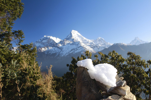 From Kathmandu: Luxury Short 5 Days Poon Hill Trek