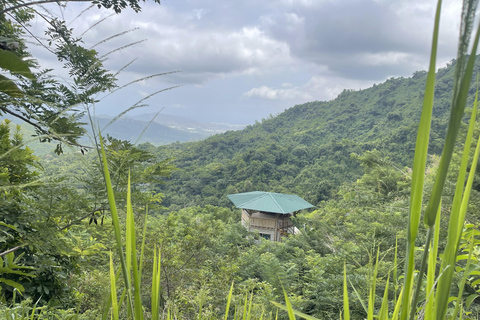 Minca: Coffee Farm and Hidden Waterfall Tour with Lunch