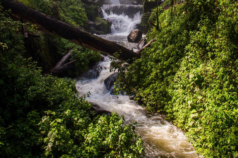 Quito: Otavalo Market, San Pablo Lake, & Waterfall