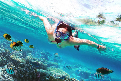 Discover Catalina Island - Snorkelling, Open Buffet & Drinks