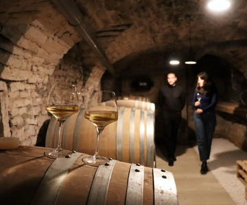 Historisch centrum van Dijon : Ontdekking proeverij wijn Bourgogne