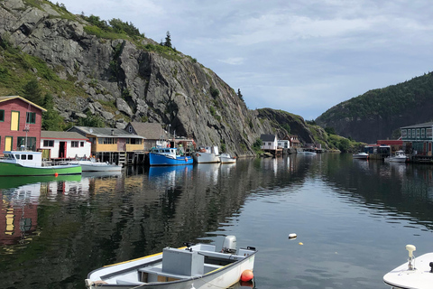 3 hour City Tour of St. John's, small group up to ten quests