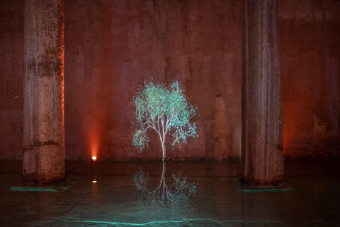 Istanbul: Basilica Cistern Skip-the-Line Guided Tour