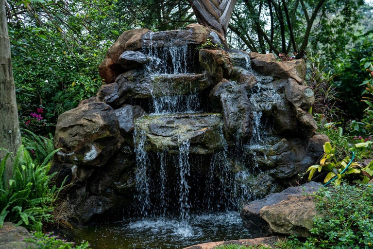 Nairobi: Fairview Coffee Estate Tour & Tasting