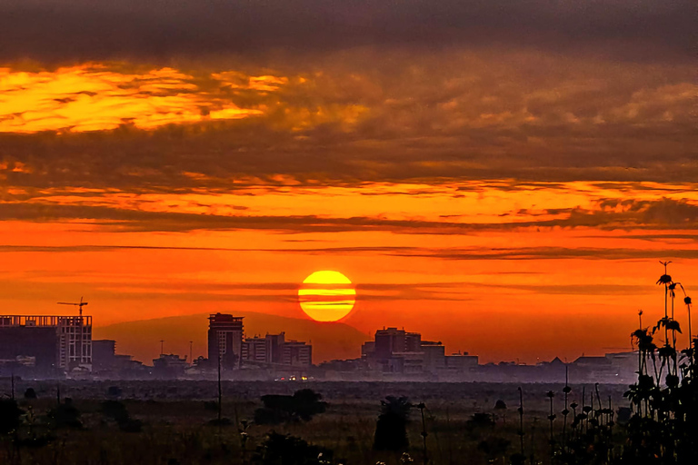 Kenya: Safari di 5 giorni a Ol Pejeta e Masai Mara